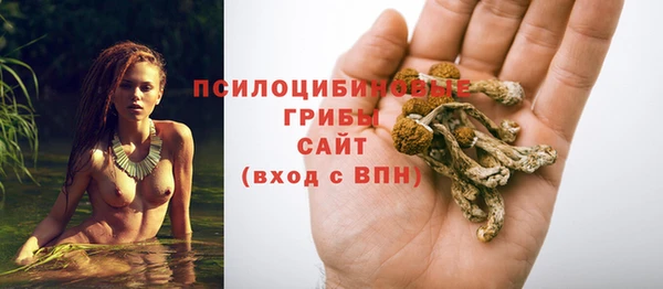 хмурый Киренск