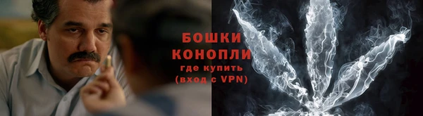гидра Киреевск