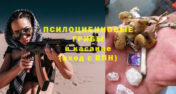 дмт Козловка